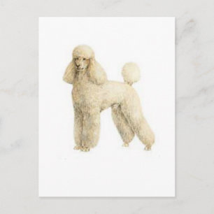 Podle — Puppy Clip Briefkaart