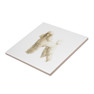 Podle — Puppy Clip Tegeltje