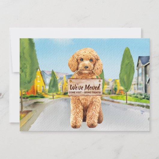 Podle We hebben nieuwe adreskop verplaatst Aankondiging (Voorkant)