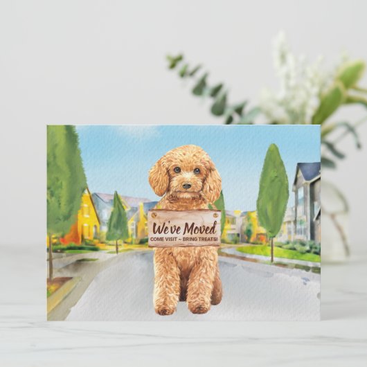 Podle We hebben nieuwe adreskop verplaatst Aankondiging (Staand voorkant)