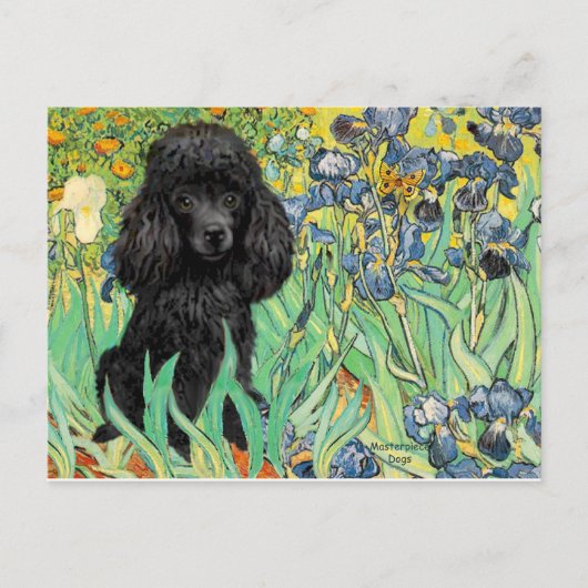 Podle (zwart 1) - Irises Briefkaart (Voorkant)