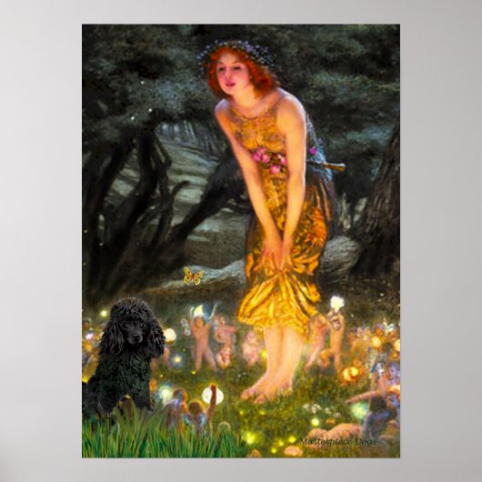 Podle(zwart 1)-MidEve Poster (Voorkant)