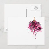 "Pods" JTG Art Briefkaart (Voorkant / Achterkant)