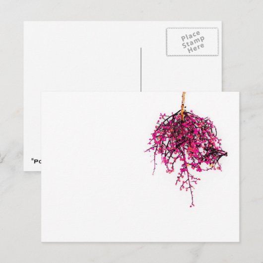 "Pods" JTG Art Briefkaart (Voorkant / Achterkant)