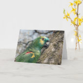 Poe Kaart (Gele Bloem)