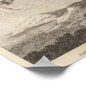 Poebird, Nieuw-Zeeland Poster (Hoek)