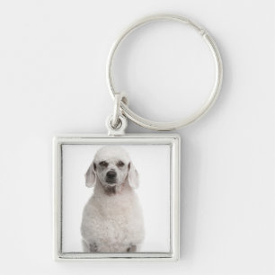 Poedel (1 jaar oud) sleutelhanger