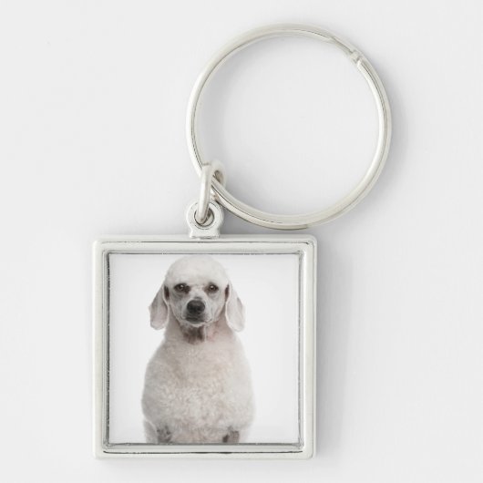 Poedel (1 jaar oud) sleutelhanger (Voorkant)