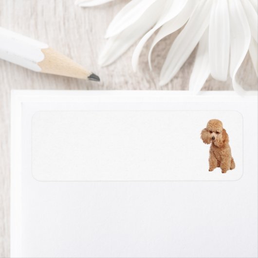 Poedel adreslabel etiket (Insitu)