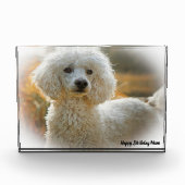 Poedel Hond Fotoblokken (Voorkant)