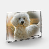 Poedel Hond Fotoblokken (Links)