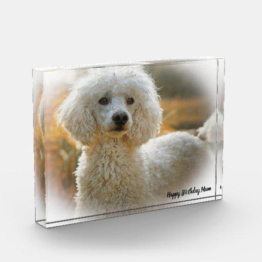 Poedel Hond Fotoblokken (Links)