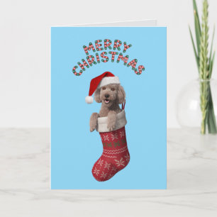 Poedel Kerst Kaart