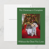 Poedel kerstwensen feestdagenkaart (Voorkant / Achterkant)