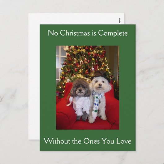 Poedel kerstwensen feestdagenkaart (Voorkant / Achterkant)