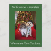 Poedel kerstwensen feestdagenkaart (Voorkant)