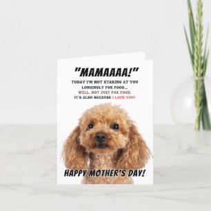 Poedel liefde voor moederdag bedankkaart