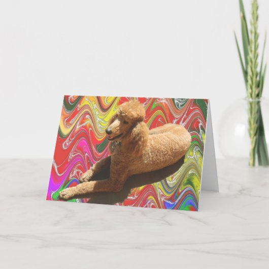 POEDEL MET DE KLEUREN VAN HET SNOEP VAN KERSTMIS FEESTDAGEN KAART (Voorkant)