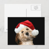 Poedel mix kerst feestdagenkaart (Voorkant / Achterkant)