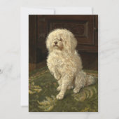 Poedel op een groen tapijt | George L. Harrison (Voorkant)