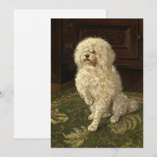 Poedel op een groen tapijt | George L. Harrison (Voorkant / Achterkant)