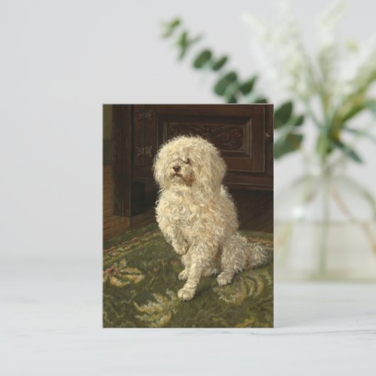 Poedel op een groen tapijt | George L. Harrison Briefkaart (Staand voorkant)