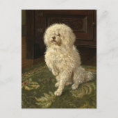 Poedel op een groen tapijt | George L. Harrison Briefkaart (Voorkant)