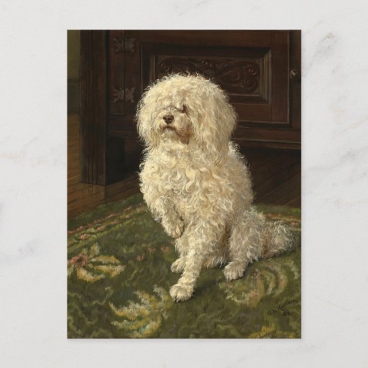 Poedel op een groen tapijt | George L. Harrison Briefkaart (Voorkant)