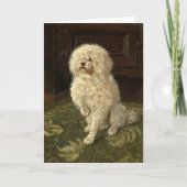 Poedel op een groen tapijt | George L. Harrison Kaart (Voorkant)