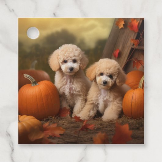 Poedel Puppy Herfst Delight Pompoen Bedankjes Labels (Voorkant)