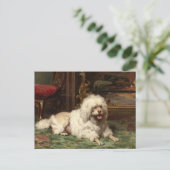 Poedel rust op de haard | franse school briefkaart (Staand voorkant)