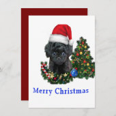 Poedel schattige hond kerstkaart (Voorkant / Achterkant)