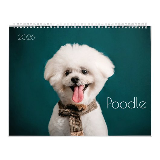 Poedel Schattige Poedel Puppies 2024 Kalender (Hoes)