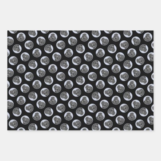 Poedel Schilderen Miniatuur Speelgoed Zwart Pet Do Inpakpapier Vel (Voorkant 3)