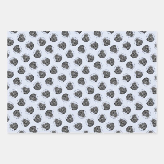 Poedel Schilderen Miniatuur Speelgoed Zwart Pet Do Inpakpapier Vel (Voorkant)