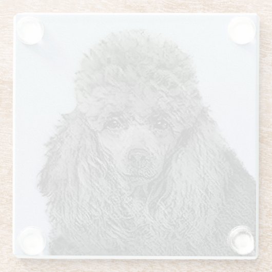 Poedel schilderij miniatuur Speelgoed zwart origin Glazen Onderzetter (Achterkant)