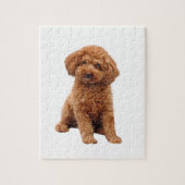 Poedel - Speelgoed (Abrikoos) Legpuzzel (Verticaal)