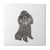 Poedel - Speelgoed / Miniatuur Zilver Tegeltje (Voorkant)