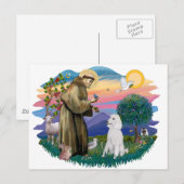 Poedel (standaard wit) briefkaart (Voorkant / Achterkant)