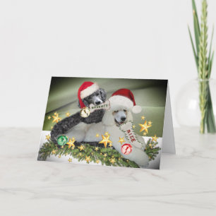 Poedel "stoute of leuke" kerst Kaarten