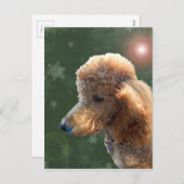 POEDEL VOOR DE FEESTDAGEN (Voorkant / Achterkant)