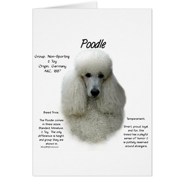 Poedel (wht) Geschiedenis Ontwerp (Voorkant)
