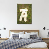 Poedel (wit) canvas afdruk (Insitu (Slaapkamer))