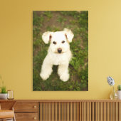 Poedel (wit) canvas afdruk (Insitu (Woonkamer))