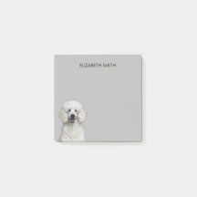 poedel witte standaard hond