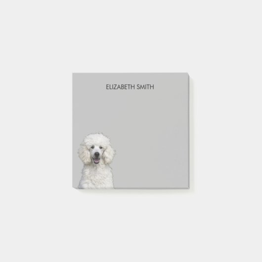 poedel witte standaard hond post-it® notes (Voorkant)