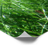 Poedel - Word niet boos - Poster (Hoek)