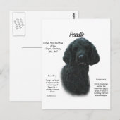 Poedel (zwart) Geschiedenis Ontwerp Briefkaart (Voorkant / Achterkant)