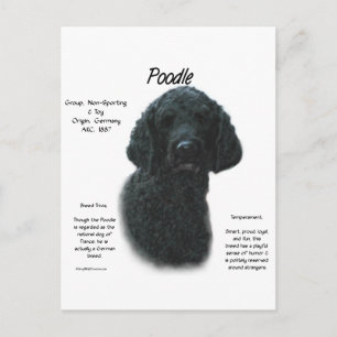 Poedel (zwart) Geschiedenis Ontwerp Briefkaart