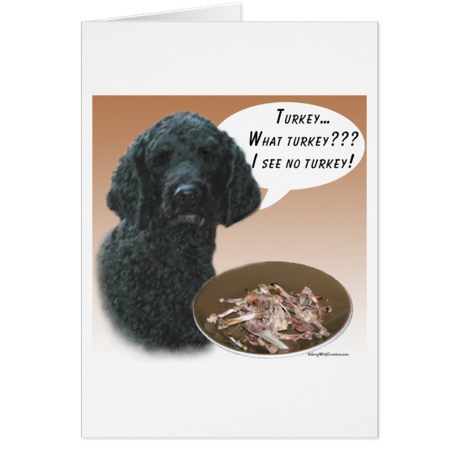 Poedel (zwart) Turkije (Voorkant)